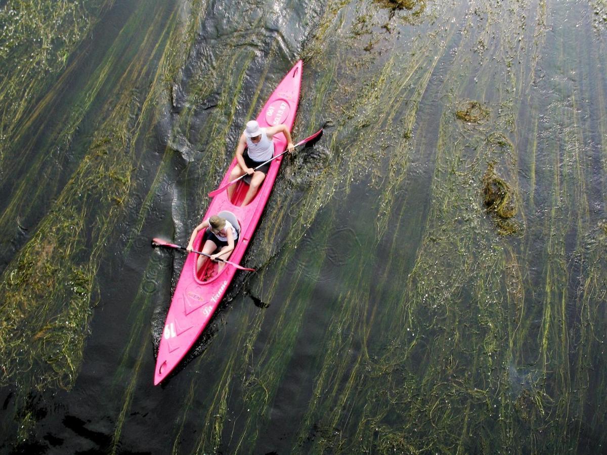 Gite De Groupe De La Semois Alle Bagian luar foto
